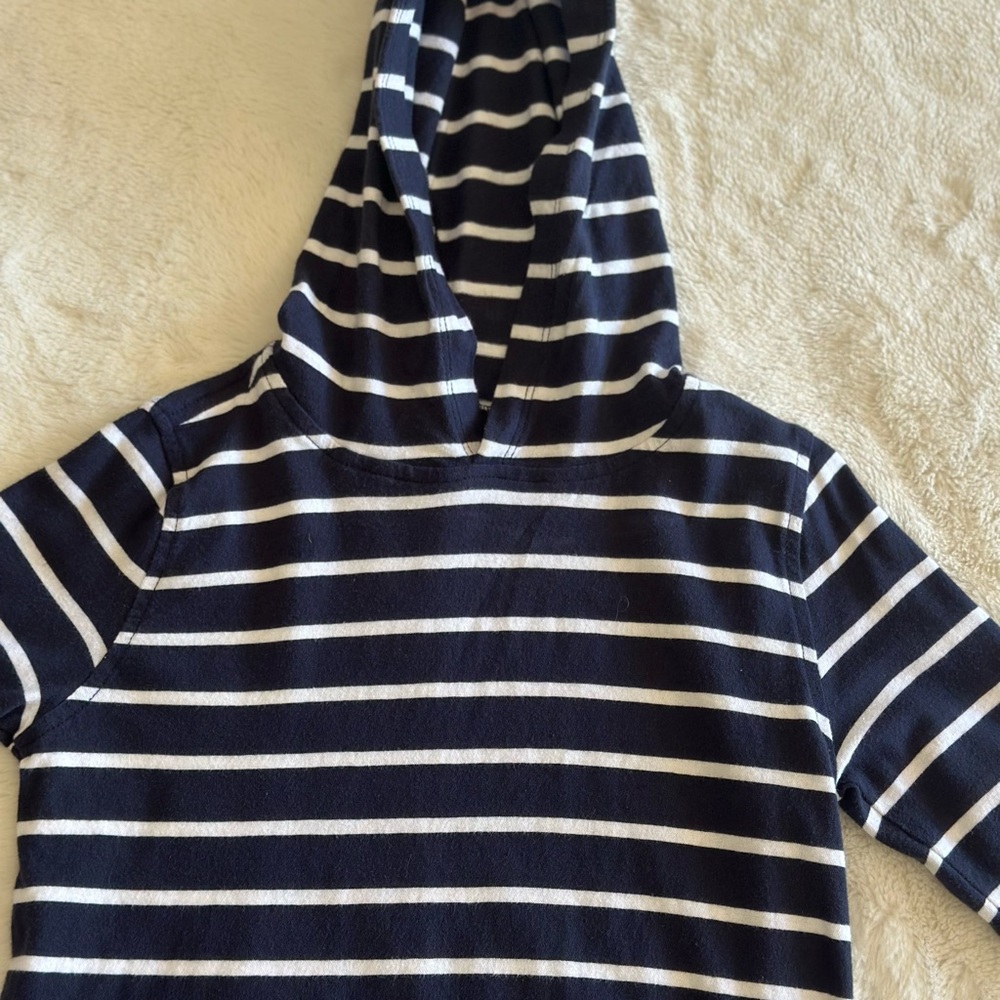 Crewcuts Blue and White Striped Hoodie
